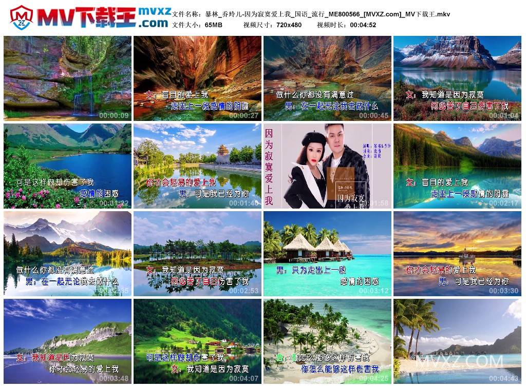 暴林_乔玲儿-因为寂寞爱上我_国语_流行_ME800566